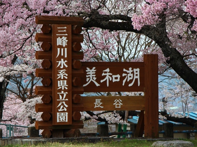 美和湖周辺　桜14’