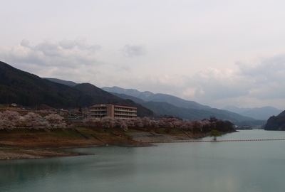 美和湖周辺　桜14’