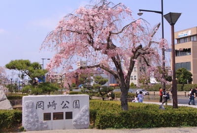 18年桜『岡崎城公園』