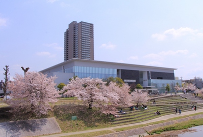 18年桜『岡崎城公園』