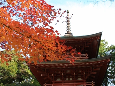 紅葉≪油山寺≫