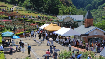 バラの丘公園