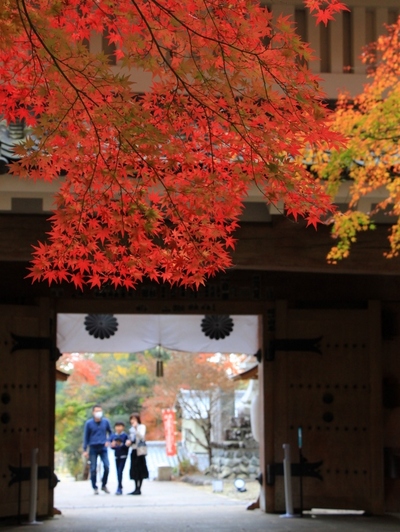 紅葉≪油山寺≫