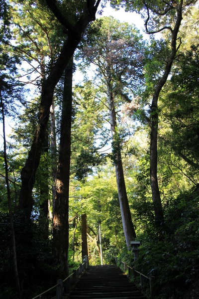 重要文化財≪油山寺≫