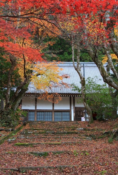 紅葉≪大洞院≫