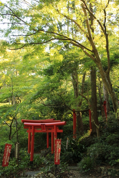 重要文化財≪油山寺≫