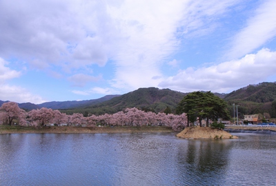 18年桜『六道の堤とアルプス』