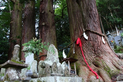 遠山郷「龍淵寺」