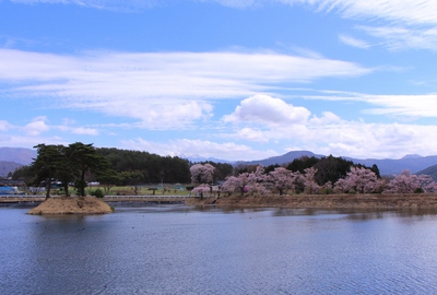 18年桜『六道の堤とアルプス』