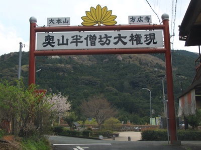 ２０２２桜≪奥山浮橋≫