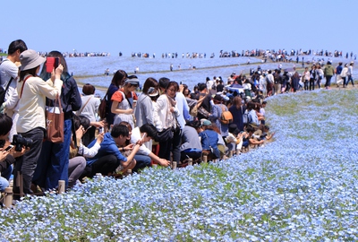 ひたちなか海浜公園