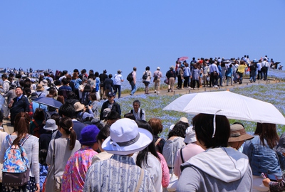 ひたちなか海浜公園