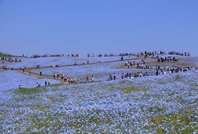 ひたちなか海浜公園
