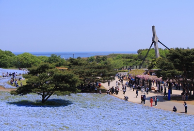 ひたちなか海浜公園