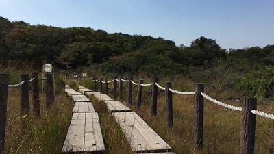 東海の尾瀬