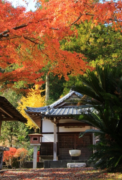 法泉寺の紅葉