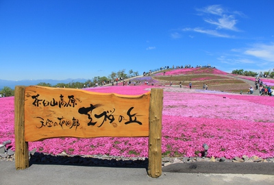 天空の花廊≪芝桜の丘≫