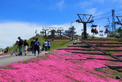 天空の花廊≪芝桜の丘≫