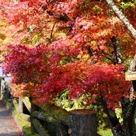 岩屋堂「前編」