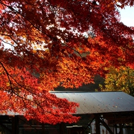 岩屋堂「前編」