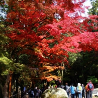 岩屋堂「前編」