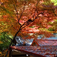 岩屋堂「前編」