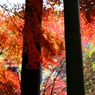 岩屋堂「前編」