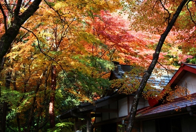 岩屋堂「前編」