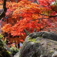 岩屋堂「前編」