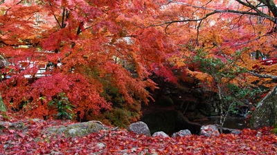 岩屋堂「後編」