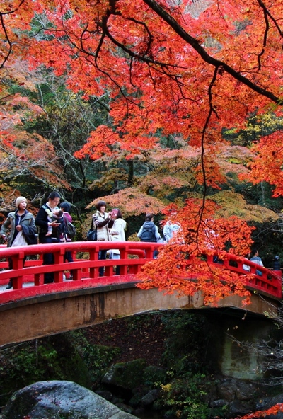 岩屋堂「後編」