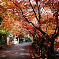 岩屋堂「後編」