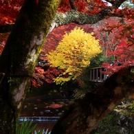 岩屋堂「後編」