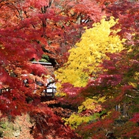 岩屋堂「後編」