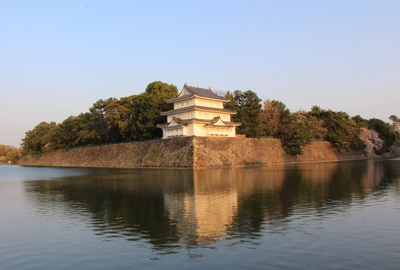 名古屋城サクラ