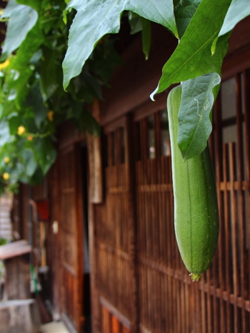 馬籠・妻籠の名脇役
