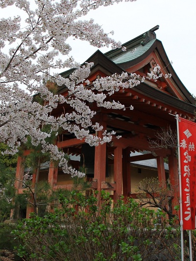 21年桜『甲斐善光寺』