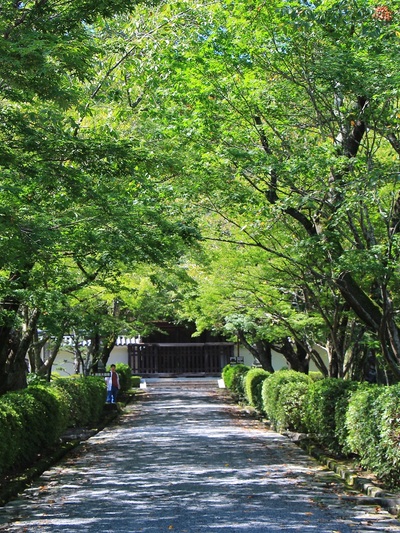 明智光秀菩提寺≪西教寺≫