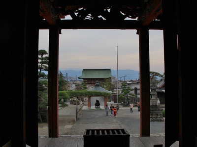 21年桜『甲斐善光寺』