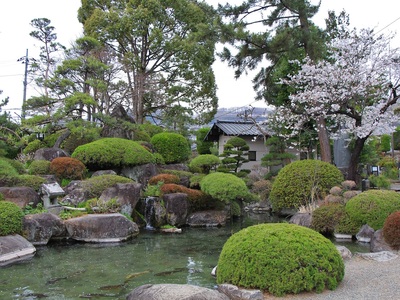 21年桜『甲斐善光寺』