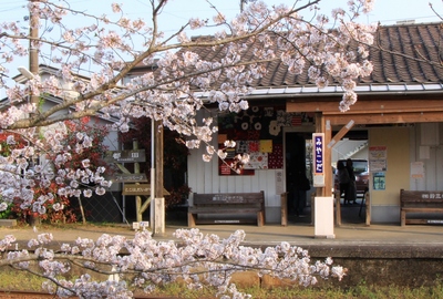 桜２０１９「みやこだ駅」