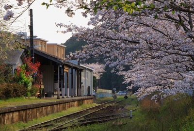 桜２０１９「みやこだ駅」