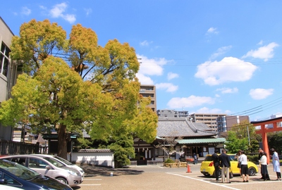 お食い初め