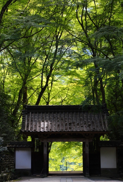 奥香嵐渓散策