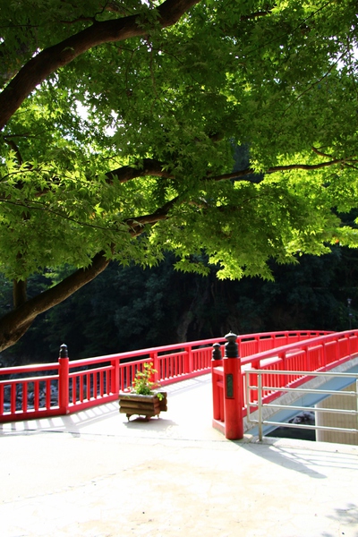 緑の香嵐渓