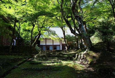 緑の大洞院