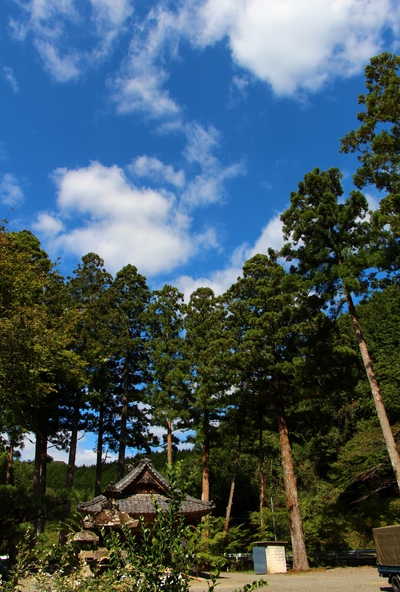 緑の大洞院