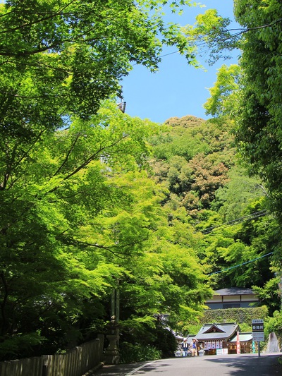 尾張最古刹≪犬山寂光院≫
