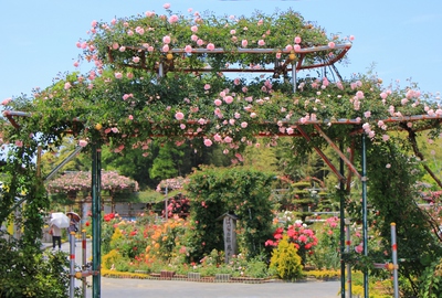 薔薇の都苑