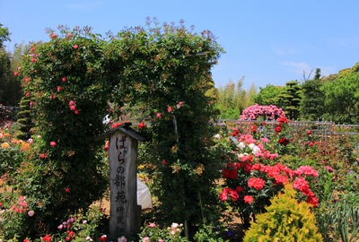 薔薇の都苑